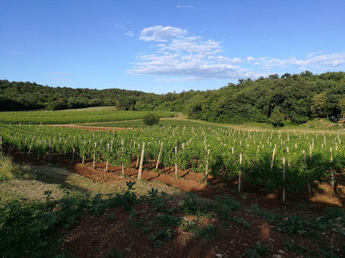 Agriturismo Ostrouska Sgonico Luaran gambar